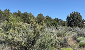 Medicine Mountain Drive 1, Beatty, OR 97621