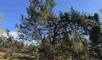 374 Crank Rd, Bloomfield, VT 05905