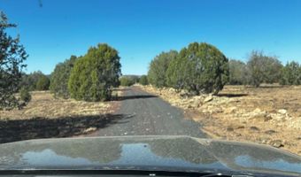 10777 Raging Crab Rd, Ash Fork, AZ 86320