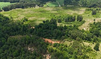 Beauty Hill Rd lot 4, Bethel Springs, TN 38315