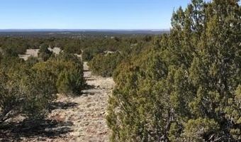 Lot 20 Idlewild Ranch 20, Concho, AZ 85924