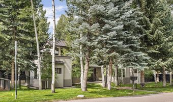 307 N Sixth St, Aspen, CO 81611