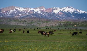 980 ACRES MERNA N BEAVER, Daniel, WY 83115