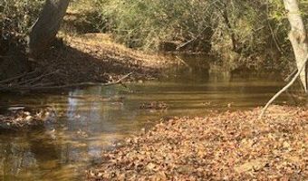 Julius Bridge Road, Ball Ground, GA 30107