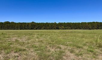 00001 Frank Hall Rd, Bolton, MS 39041