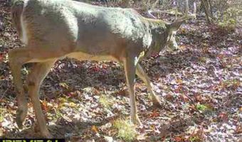 30421 Pueblo Ct, Adel, IA 50003