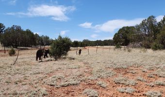 Ranch And Cattle lot 13, Ash Fork, AZ 86320