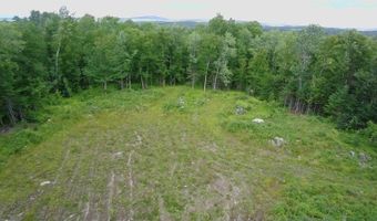 38 Monument Rd, Abbot, ME 04406