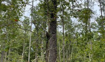 00 Pisgah Rd 2, Brandon, MS 39047