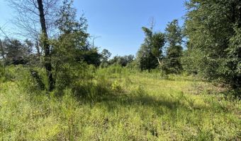 7960 NW County Road 274, Altha, FL 32421