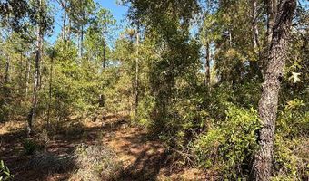 Lot 10 16th Ave, Bell, FL 32619