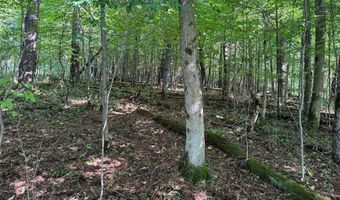 Lynch Road, Alfred, NY 14806