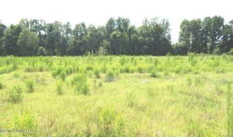 590 County Road 247, Bruce, MS 38915