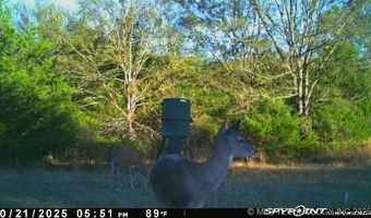 10450 County Road 1490 Rd, Ada, OK 74820