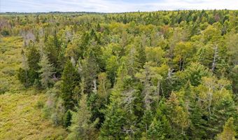 M17L21 Basin Road, Addison, ME 04606