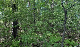 COUNTY ROAD Z lot 4, Aniwa, WI 54408