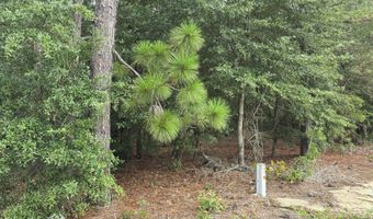317 R J Johnson Rd, Allendale, SC 29810