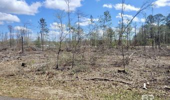 0 Highway 287, Bay Minette, AL 36507