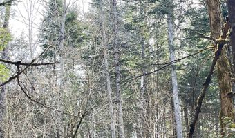Hollow Road, Barton, VT 05822