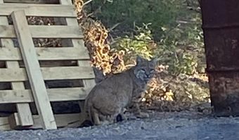 7187 CR 228, Bayfield, CO 81122