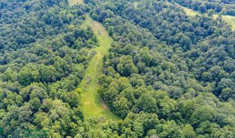 Tract # 24 Willis Creek, Albany, KY 42602