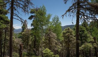 97 Zia Rd, Angel Fire, NM 87710