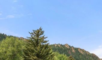 940 Waters Ave 209, Aspen, CO 81611