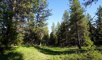 3695 W Mountain Rd, Anatone, WA 99401