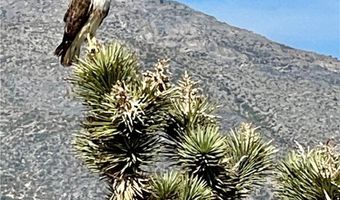 159 Eagle Nest Cir, Cold Creek, NV 89124