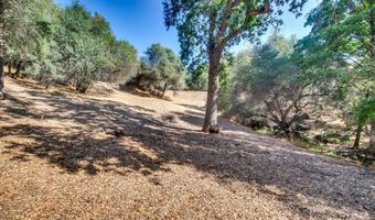 336 Catalpa Ln, Angels Camp, CA 95222