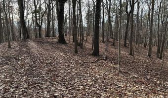 Hwy 105, Baldwin, GA 30511