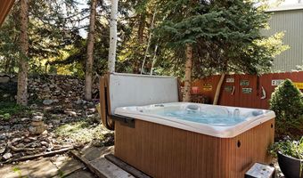 311 Midland Ave, Aspen, CO 81611