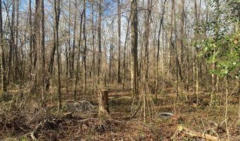 3481 County Rd 81, Abbeville, AL 36310
