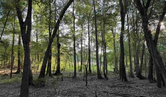 0 80 Acres-TBD Cantley Landing Rd, Andrews, SC 29510