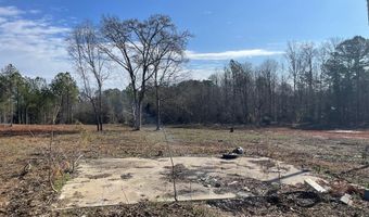 1978 Old Douglas Mill Rd, Abbeville, SC 29620