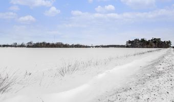 Fillmore Street, Allendale, MI 49401