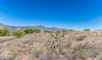 Tbd E Laffe Trail, Hereford, AZ 85615