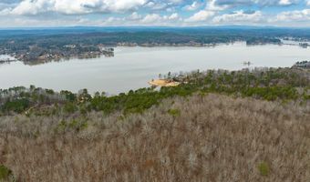 34 Acres- Mtn CONSTELLATION DRIVE Lot 34+ Acres-Mtn Tract One, Alpine, AL 35014