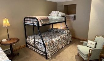 209 Deer Path Ln, Almont, CO 81230