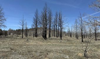 31763 Godowa Springs Rd, Beatty, OR 97621