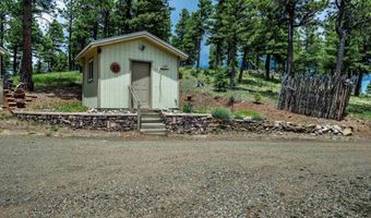 59 Palo Flechado Ridge Rd, Angel Fire, NM 87710