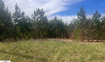 PARCEL F COUNTRY PINES DRIVE, Kingsley, MI 49649