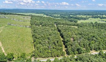 425 Hartwick Ln, Atkins, AR 72823