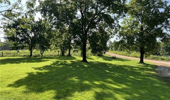 10894 Dunkard Rd, Alpena, AR 72611