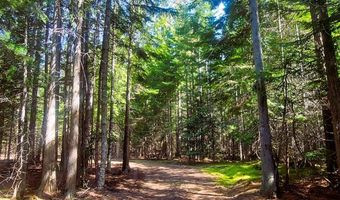 Nka Wandering Wolf Ridge Lot 3, Clark Fork, ID 83811