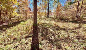ROCK CREEK PENNINSULA, Arley, AL 35541