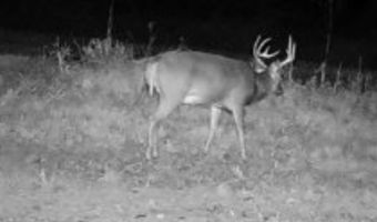 22 Hwy, Adamsville, TN 38310