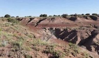 210-06 005 & 206-51-136, Chambers, AZ 86502