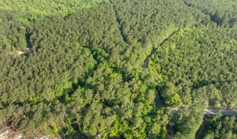 Ethridge Drive, Andrews, SC 29510