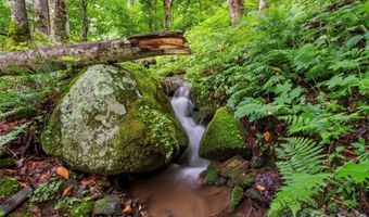 1210 Blevins Branch Rd, Bakersville, NC 28705